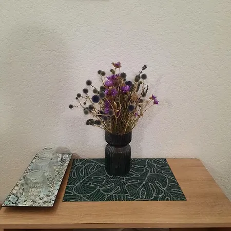 Apartment Emir Eforie Nord